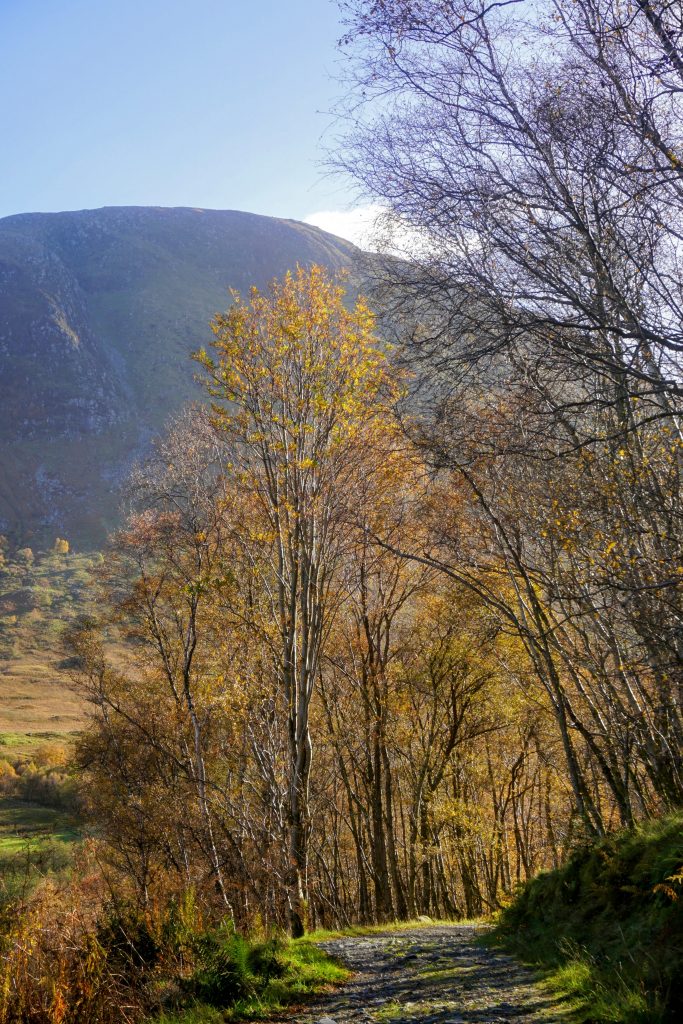 Fort William, Cow Hill, and The Wildcat – Inconsequential